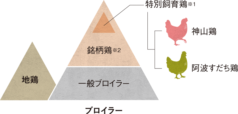 図表